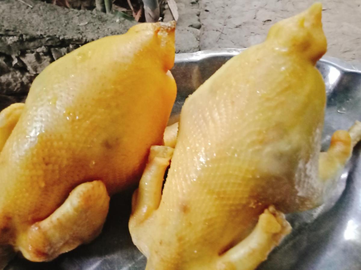 فندق Muong Retreat- Nghi Duong Xanh Trong Bao Tang Van Hoa Nghe Thuat,Hòa Bình المظهر الخارجي الصورة