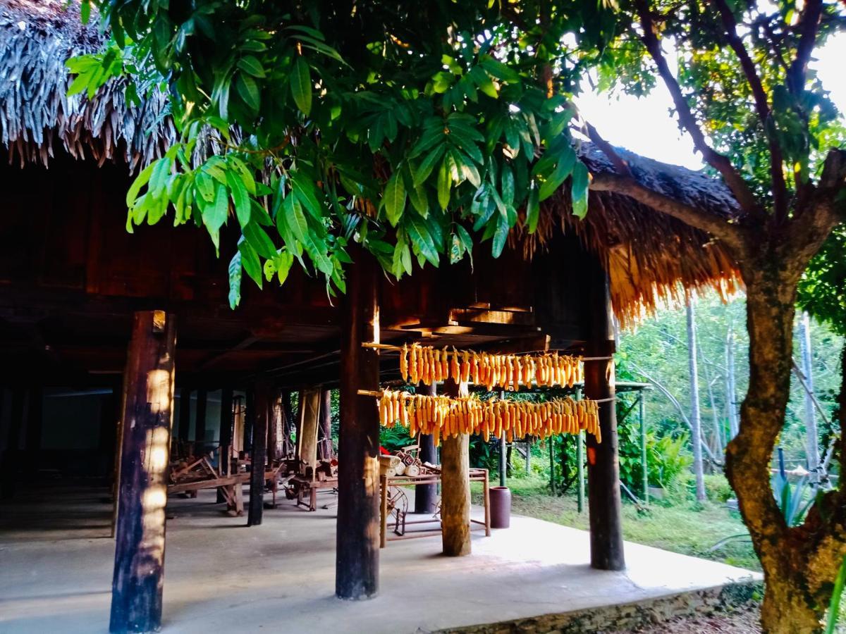 فندق Muong Retreat- Nghi Duong Xanh Trong Bao Tang Van Hoa Nghe Thuat,Hòa Bình المظهر الخارجي الصورة
