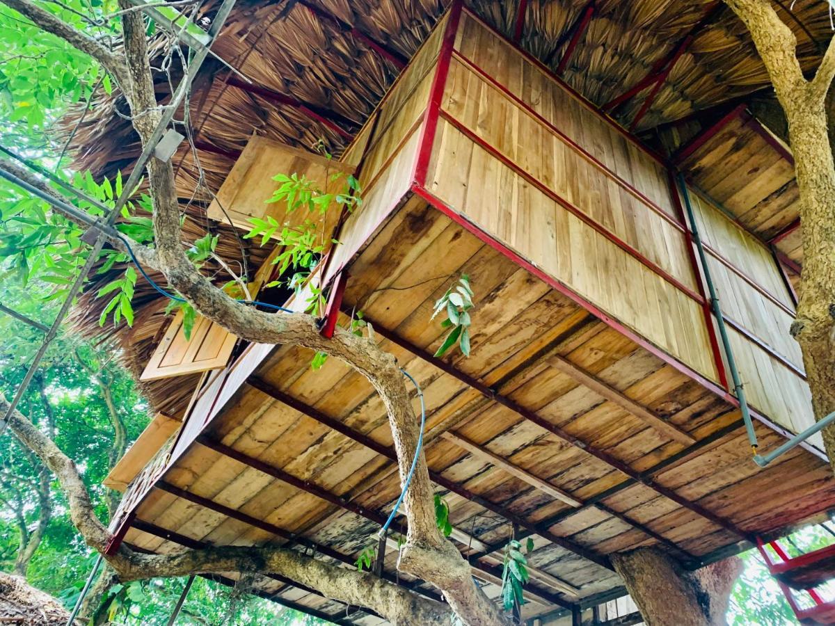فندق Muong Retreat- Nghi Duong Xanh Trong Bao Tang Van Hoa Nghe Thuat,Hòa Bình المظهر الخارجي الصورة