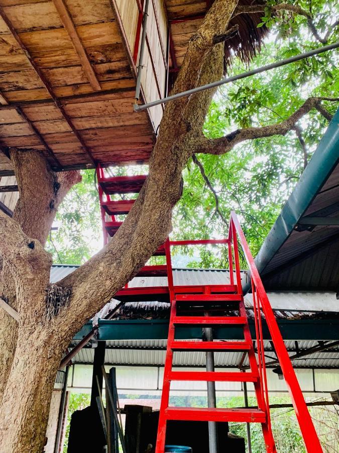 فندق Muong Retreat- Nghi Duong Xanh Trong Bao Tang Van Hoa Nghe Thuat,Hòa Bình المظهر الخارجي الصورة